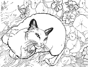 coloriage chat siamois dans les fleurs